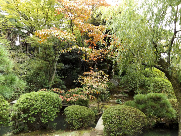 Waseda_67