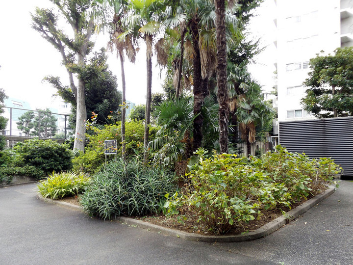 Waseda_81