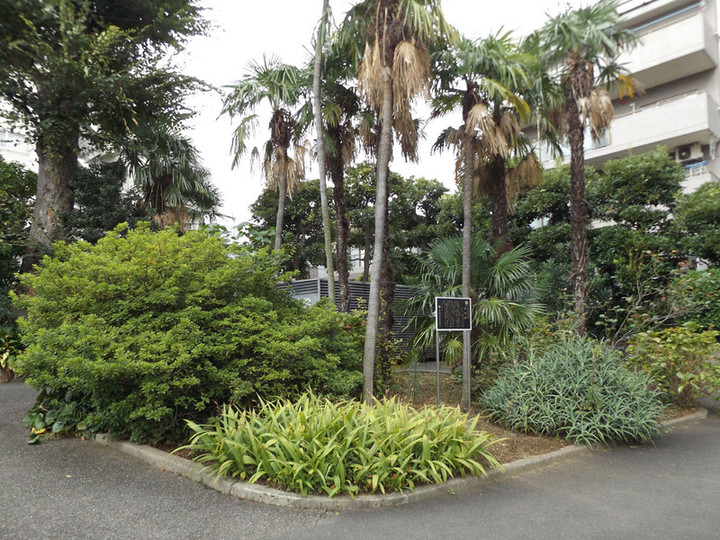 Waseda_82