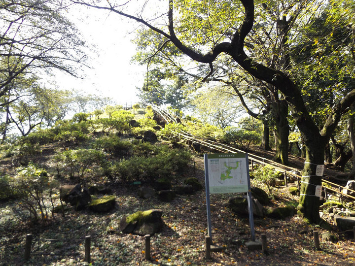 Toyama_21