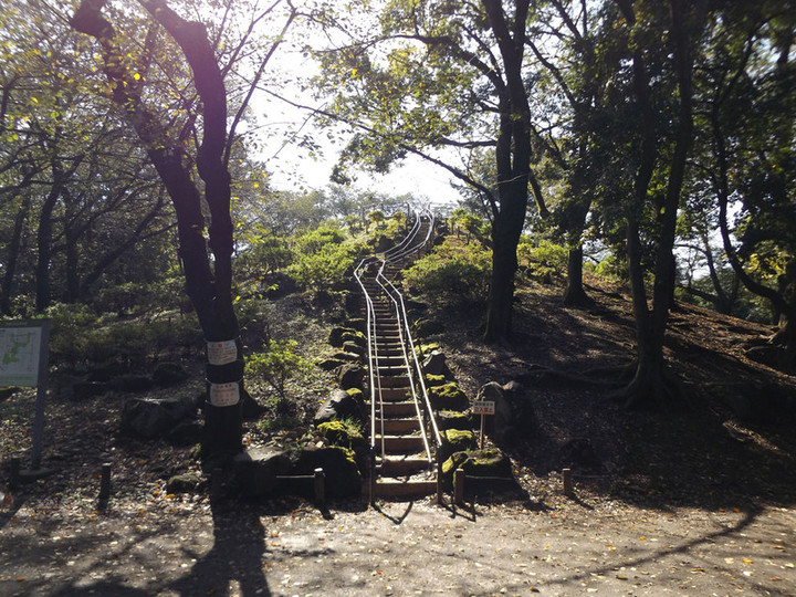 Toyama_23
