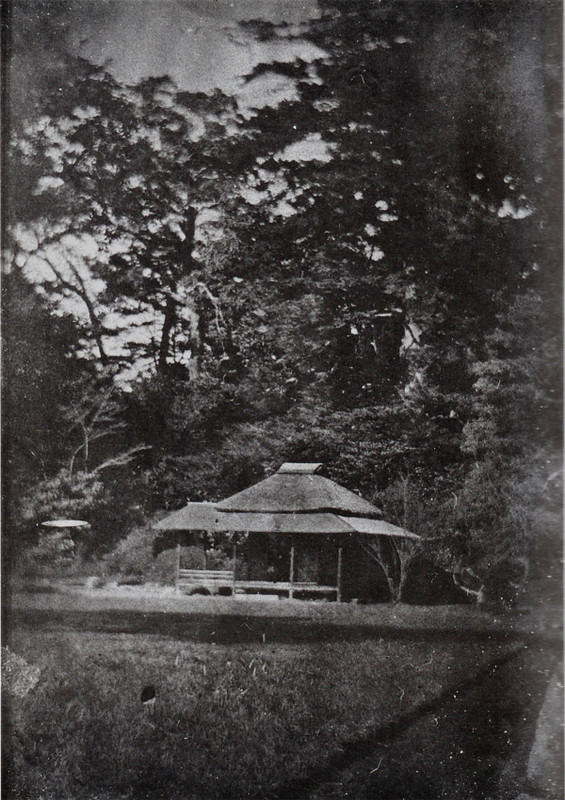 Toyama_chaya