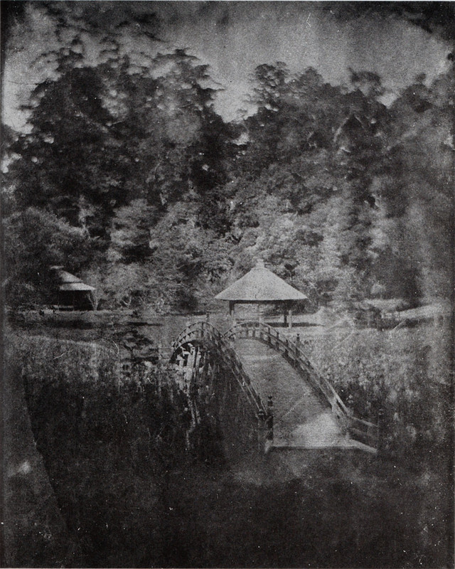 Toyama_kohaku