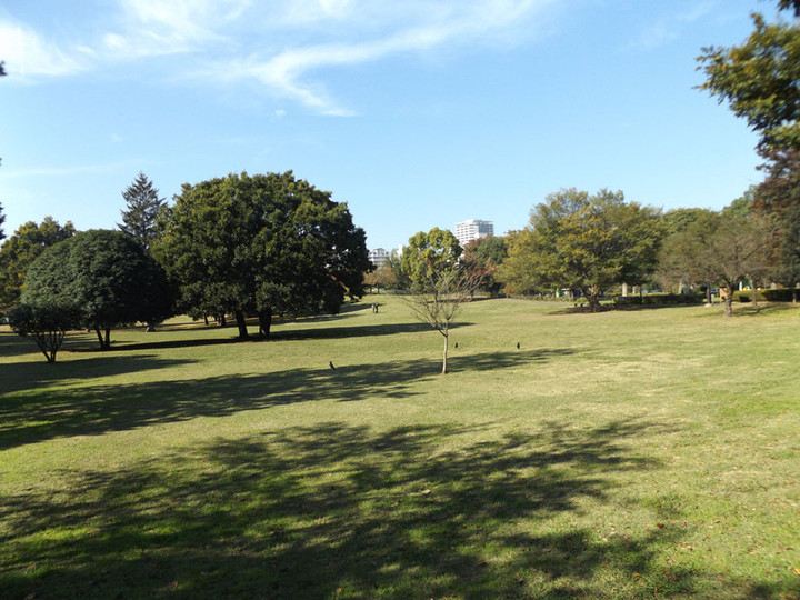 Kokubunji_koen13 Kokubunji_koen13