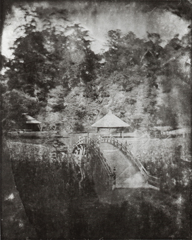 Yoshinobu_toyama2