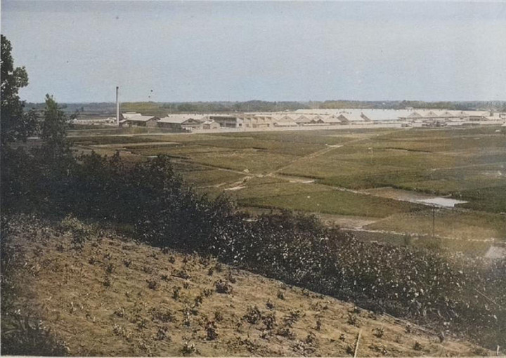 Gunma_ohtanakajima01c