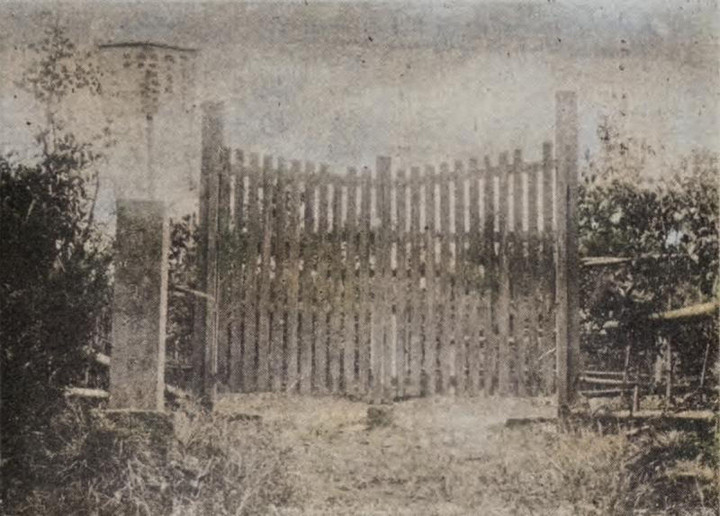 Kawaguchi_shingou89c