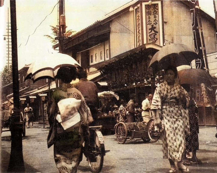 Maebashi_yanagizac