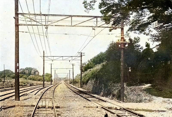 Warabi23c