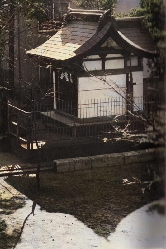 Warabi_hatajinjya9c