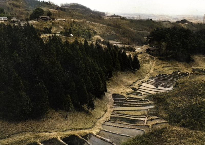 Takasaki_28c Takasaki_28c