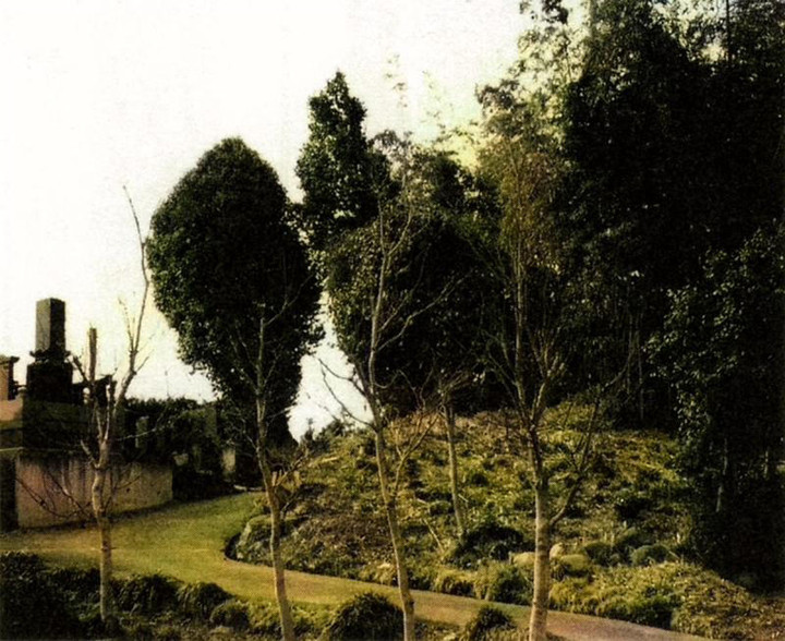 Matsuida_choujya11c Matsuida_choujya11c