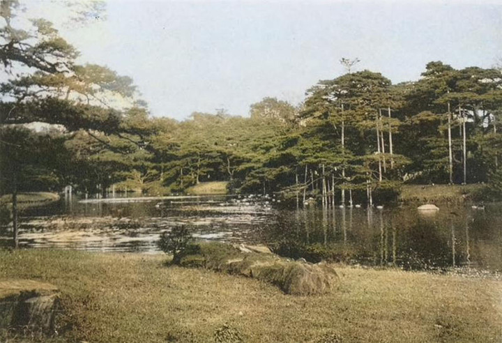 Rikugien91c