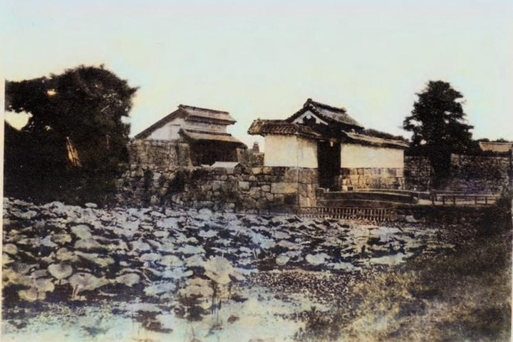 Yamashitamitsukec