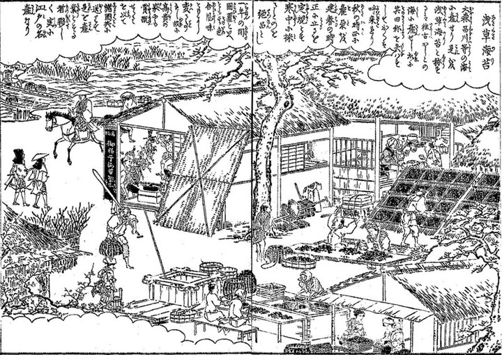 Asakusanori61