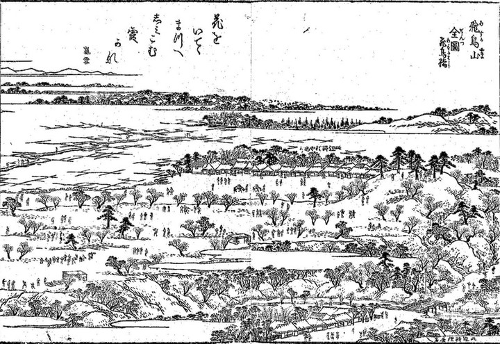Asukayama61