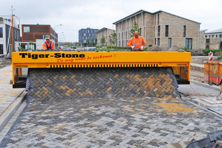 Tiger_stone2