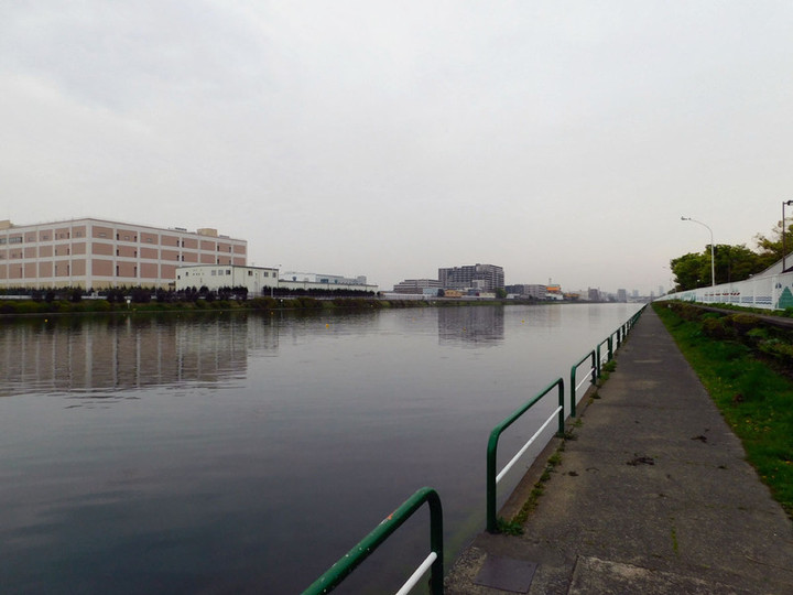 Todaboat03 Todaboat03