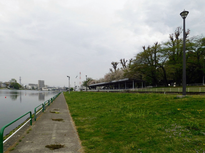 Todaboat06 Todaboat06