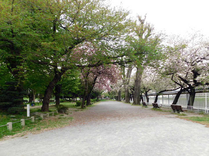 Todaboat09 Todaboat09