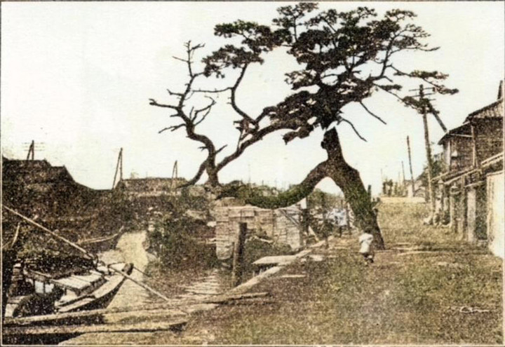 Fuzokugaho_gohonmatsuc