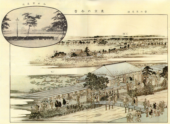 Fuzokugaho_shinobazu