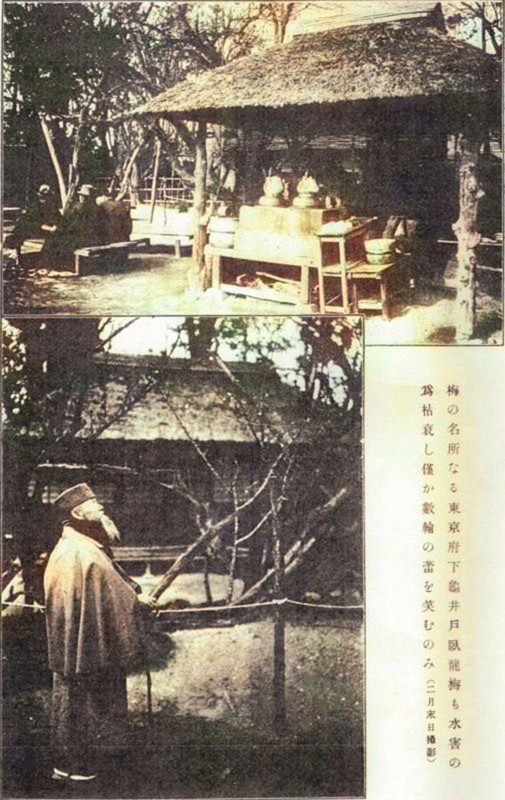 Fuzokugaho_kameidoumec