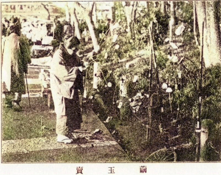 Fuzokugaho_mayudamac