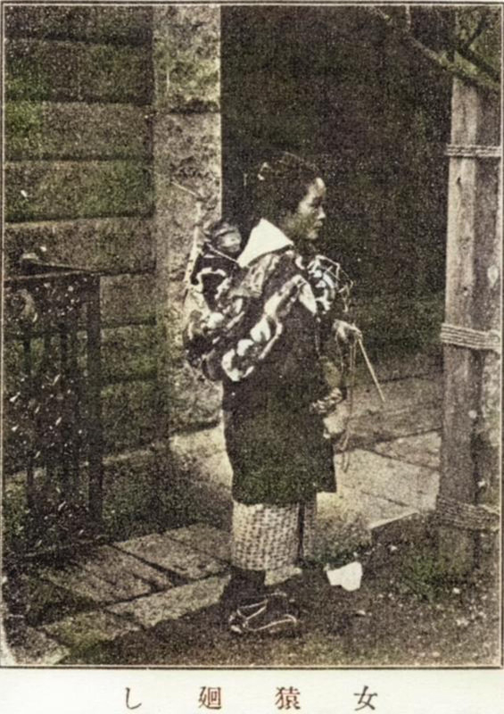 Fuzokugaho_sarumawashic