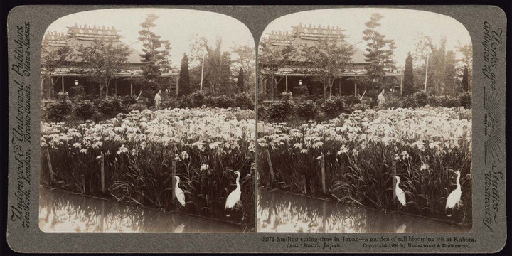 Boston_kamata4 Boston_kamata4