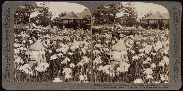 Boston_kamata5 Boston_kamata5