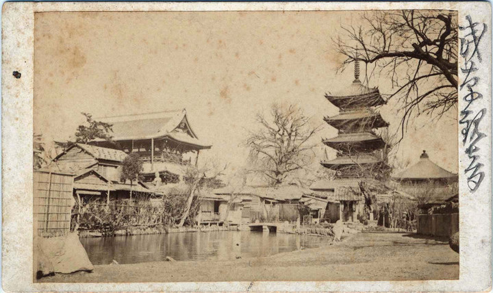 Boston_asakusa1