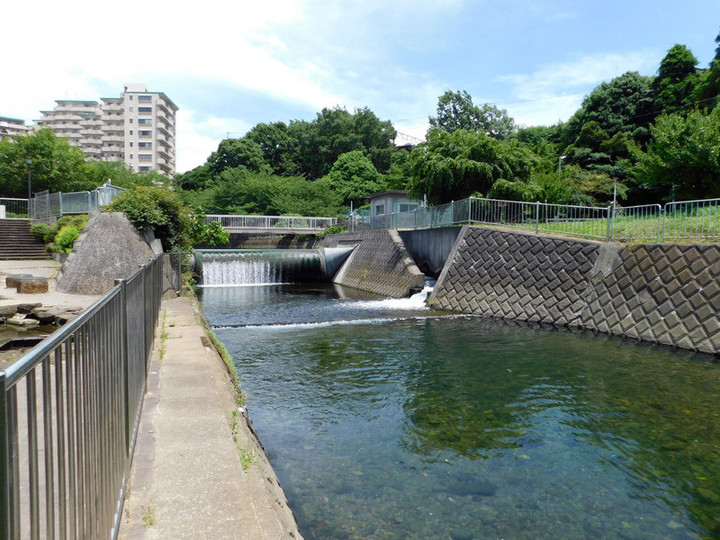 Ebina_shinsui1