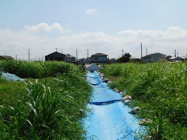 Iwatsuki_shinpukuji3