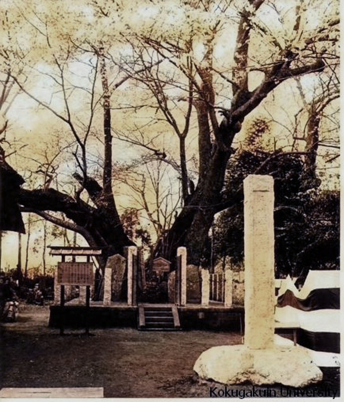 Kitamotoc