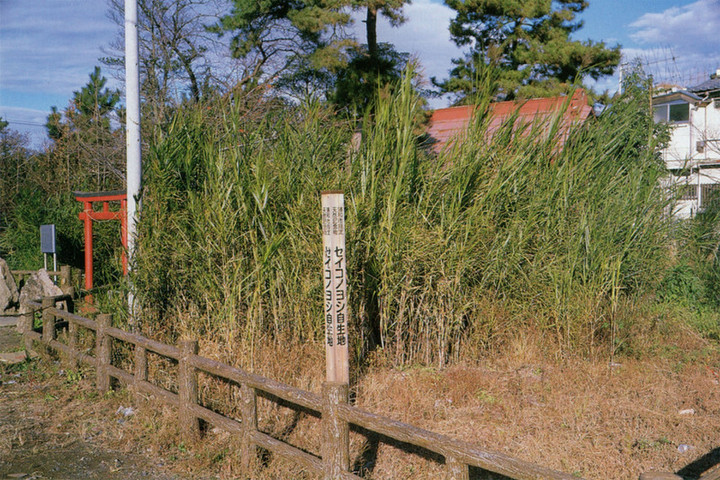 Urawabunka_migata1