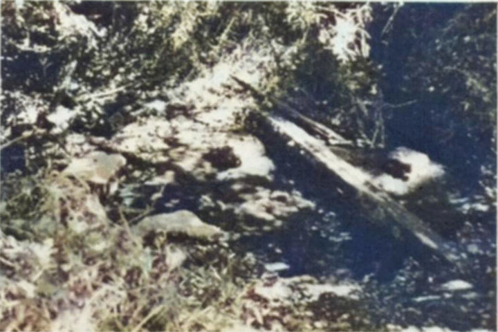Wako_kowashimizu