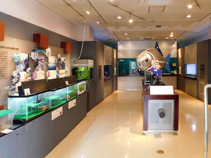 Toda_doman_gakyushu2