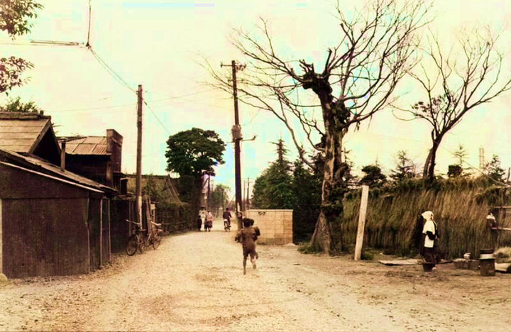 Warabiichikoc