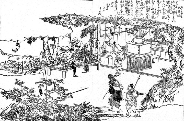 Senjyu_hikarichagama