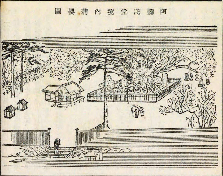 Kitamoto_amidado_2