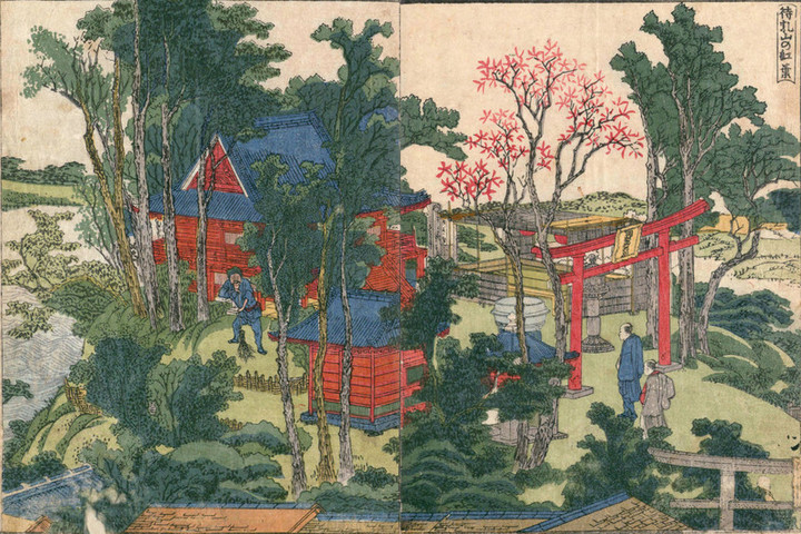 Edo_matsuchi2