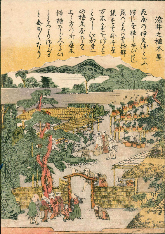 Ehon_someiyoshino