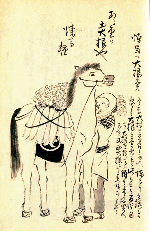 Nerimadaikon5 Nerimadaikon5