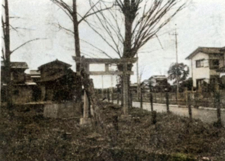 Shiki_nakimushi8