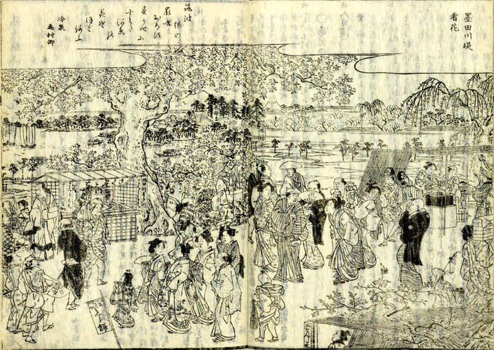 Sumida_sakuramochi_2