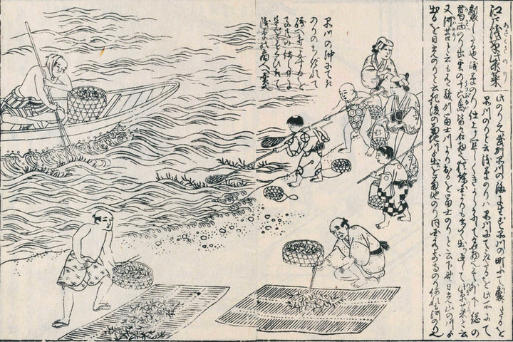 Asakusanori