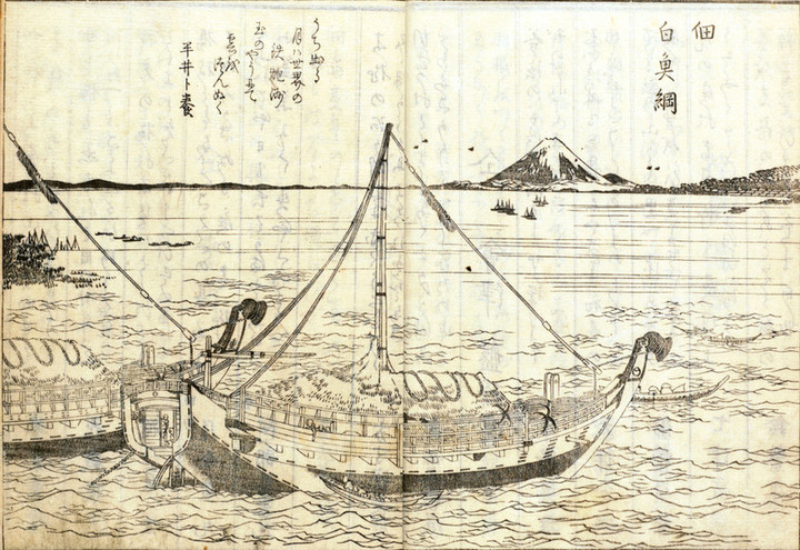 Tsukuda_shirauo