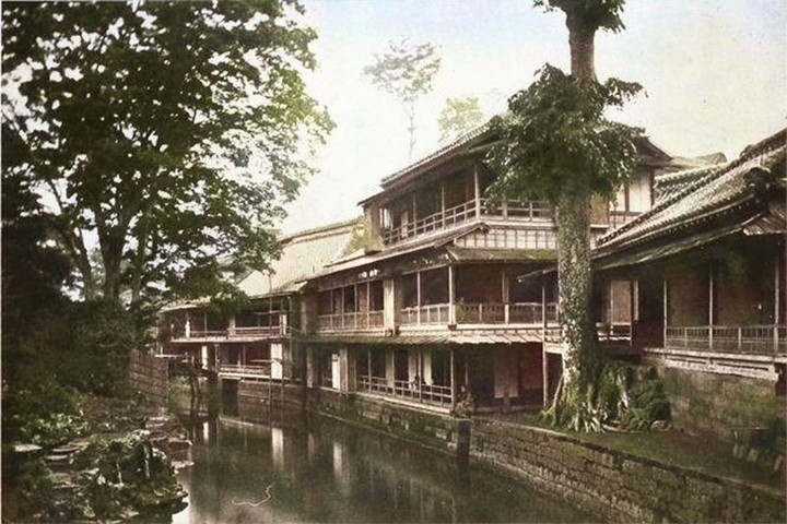 Ogiya_siebold8c