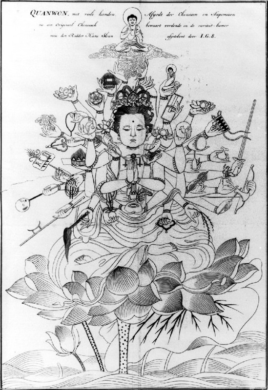 Senjyukannon_siebold